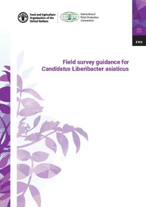 Publication cover description.