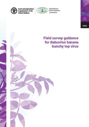 Publication cover description.