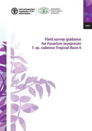 Publication cover description.