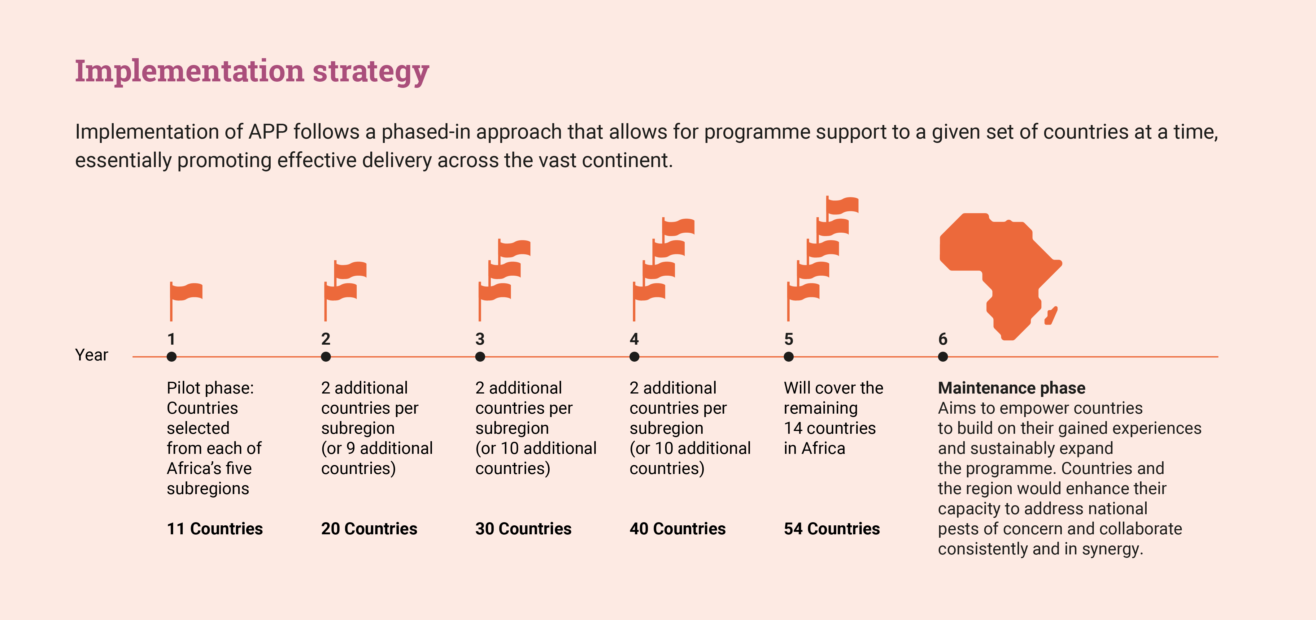 Diagram of implementation strategy.