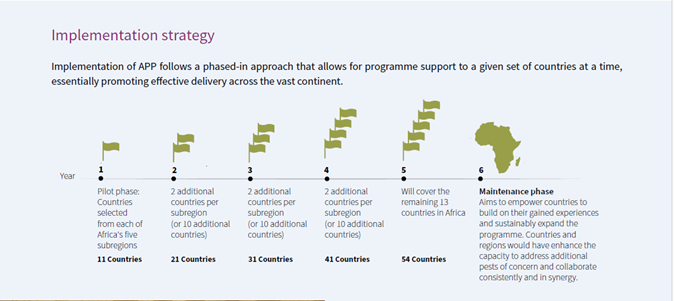 Diagram of implementation strategy.