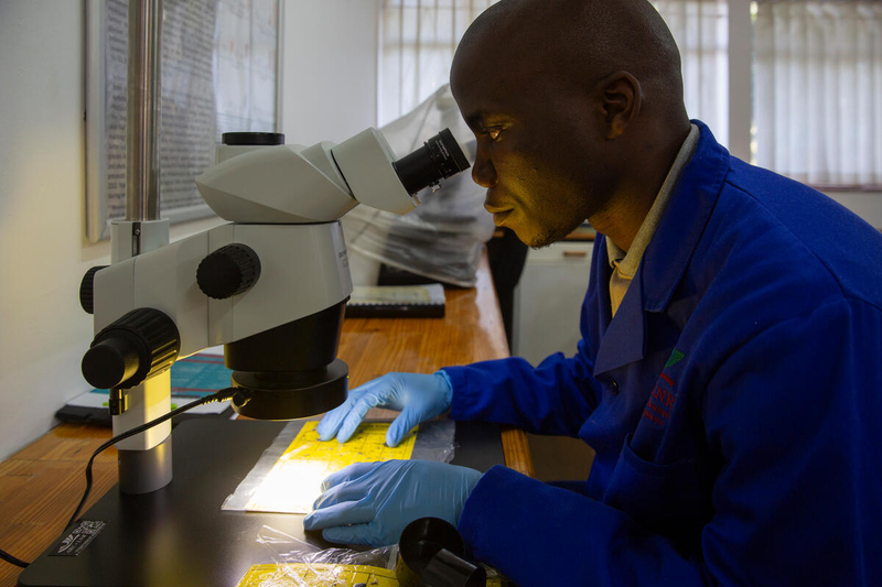 ©FAO/Madelene Cronje