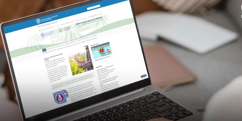 Responsive image