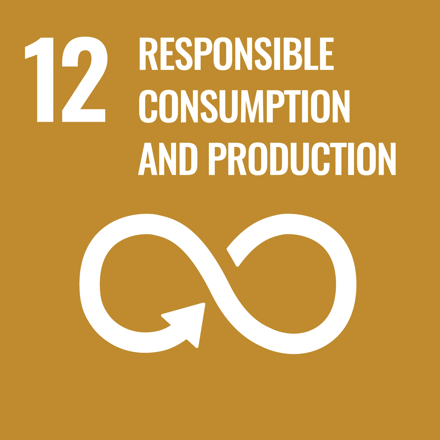 SGD 12 - Ensure sustainable consumption and production patterns