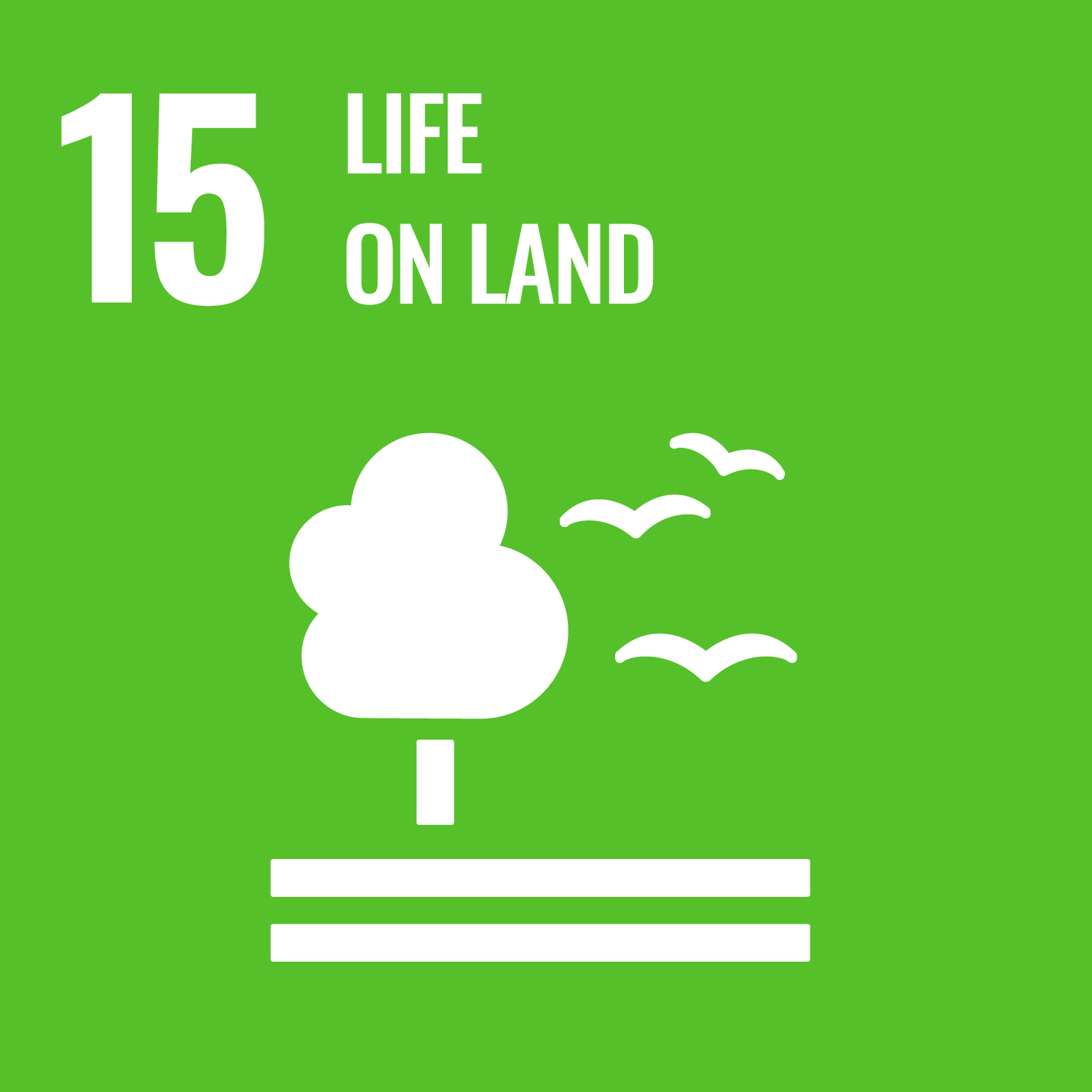 SGD 15 - Protect, restore and promote sustainable use of terrestrial ecosystems, sustainably manage forests, combat desertification, and halt and reverse land degradation and halt biodiversity loss