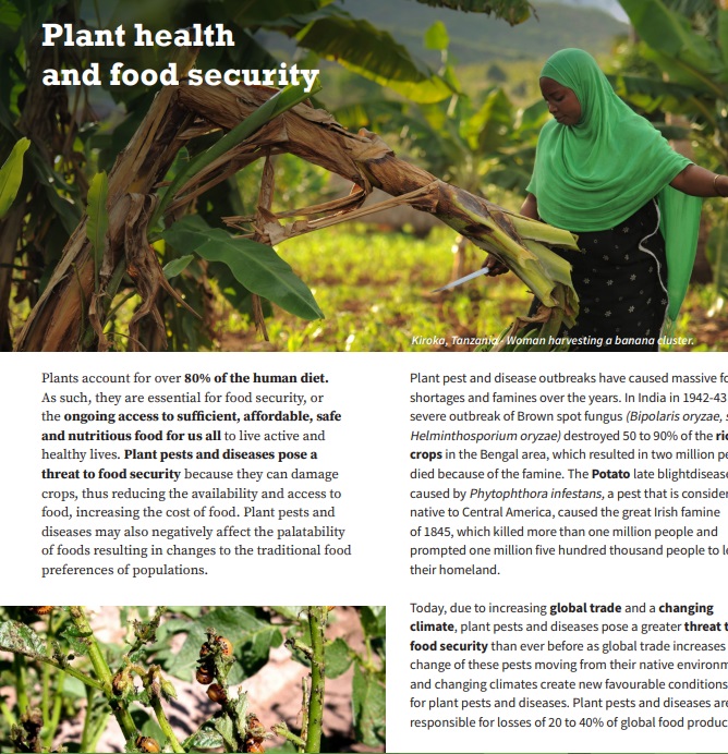 Plant health and trade facilitation factsheet document.