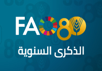 FAO 80th anniversary