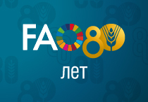 FAO 80th anniversary