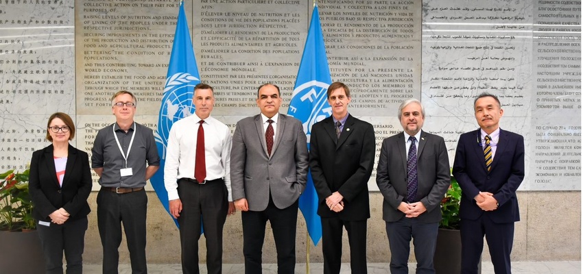 IPPC International Plant Protection Convention