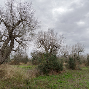 Workers in protective suits during training