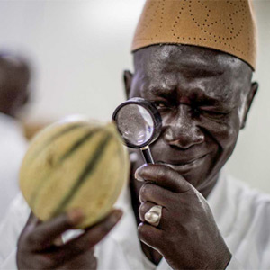 Hands handling papers